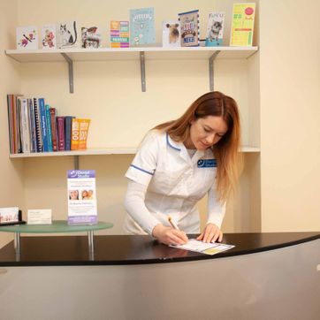 Walkinstown Dental Studio